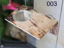 Load image into Gallery viewer, C3 Large Gecko Ledge with Perch - Suction Cup (Single 1.5 oz)