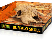 Load image into Gallery viewer, Exo Terra Buffalo Skull Hide