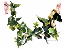 Load image into Gallery viewer, MagNaturals Jungle Vine Bridge