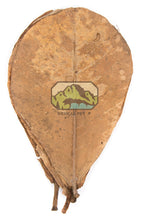 Load image into Gallery viewer, NewCal Indian Almond Leaves, Grade AAA 10-Pack