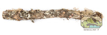 Load image into Gallery viewer, NewCal Real Moss Covered Sticks