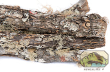 Load image into Gallery viewer, NewCal Real Moss Covered Sticks