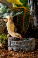 Load image into Gallery viewer, Exo Terra Tiki Water Dish