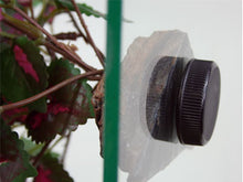 Load image into Gallery viewer, MagNaturals Hanging Berry