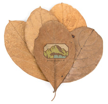 Load image into Gallery viewer, NewCal Jack Fruit Leaves, 10 Pack
