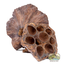 Load image into Gallery viewer, NewCal Lotus Pods, 3-Pack