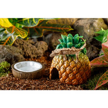 Load image into Gallery viewer, Exo Terra Coconut Water Dish
