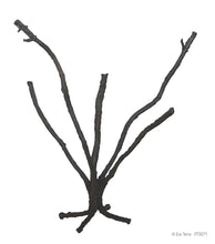 Load image into Gallery viewer, Exo Terra Bendable Jungle Tree