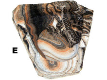Load image into Gallery viewer, Habi-Scape Rock Reptile Bowl
