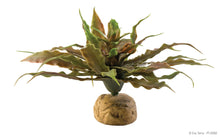 Load image into Gallery viewer, Exo Terra Desert Ground Plants