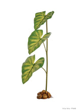 Load image into Gallery viewer, Exo Terra Dripper Plant \ Drip Watering System