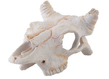 Load image into Gallery viewer, Exo Terra Buffalo Skull Hide
