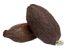 Load image into Gallery viewer, NewCal Cocoa Pod 5-7"