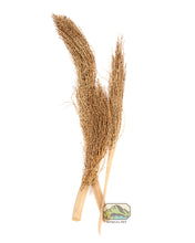 Load image into Gallery viewer, NewCal Palm Torch, 12"