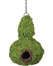 Load image into Gallery viewer, Galapagos Gourd Woven Moss Reptile Hide \ Bird House 7.5" x 12" with Installation Chain