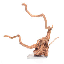 Load image into Gallery viewer, Aquarium Wood on Slate