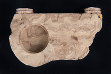 Load image into Gallery viewer, C3 Magnetic Gecko Ledge - Single Cup