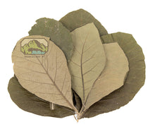 Load image into Gallery viewer, NewCal Teak Leaves, 10 Pack