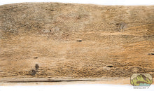 Load image into Gallery viewer, NewCal Cactus Bark, 2 oz.