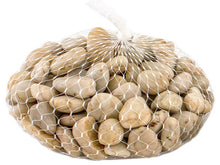 Load image into Gallery viewer, Galapagos Natural Stones