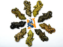 Load image into Gallery viewer, Custom Hand-Painted Leachianus Locale Sculptures by Emily Burke Artwork