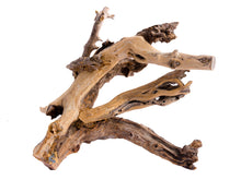 Load image into Gallery viewer, AquaGlobe Gondwana Wood