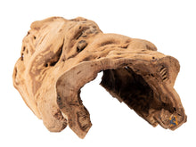 Load image into Gallery viewer, Galapagos Grapevine Cave, 10-14"