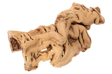 Load image into Gallery viewer, Galapagos Grapevine Cave, 10-14"