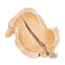 Load image into Gallery viewer, NewCal Frog's Mouth, 3 Pack