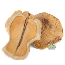 Load image into Gallery viewer, NewCal Frog's Mouth, 3 Pack