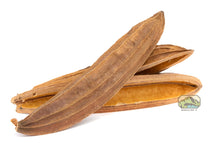 Load image into Gallery viewer, NewCal Columbian Wax Pod, 2 Pack