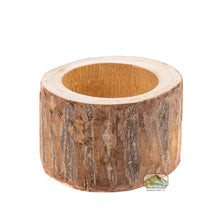 Load image into Gallery viewer, NewCal Pauwlonia Tree Pot