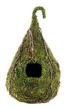 Load image into Gallery viewer, Galapagos Vined Raindrop Mossy Reptile Hide \ Bird House 6" x 10"