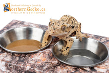 Load image into Gallery viewer, NewCal 1.5oz Stainless Steel Feeding Cup