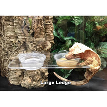 Load image into Gallery viewer, Pangea Acrylic Gecko Ledge (Suction Cup)