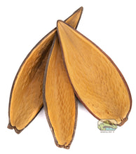 Load image into Gallery viewer, NewCal Canoinhas Pod, 2 Pack