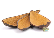 Load image into Gallery viewer, NewCal Canoinhas Pod, 2 Pack