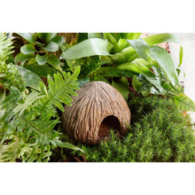 Load image into Gallery viewer, Exo Terra Coconut Cave - Nesting & Egg-Laying Hide