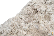 Load image into Gallery viewer, AquaGlobe Floating Avatar Rock (Pumice Stone)