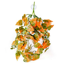 Load image into Gallery viewer, Pangea Hanging Plants