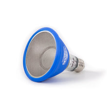 Load image into Gallery viewer, Pangea Deep Heat Projector