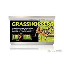 Load image into Gallery viewer, Exo Terra Canned Grasshoppers