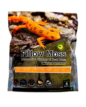 Load image into Gallery viewer, Galapagos Pillow Moss