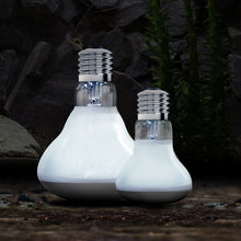 Load image into Gallery viewer, Arcadia Solar Basking Floodlight