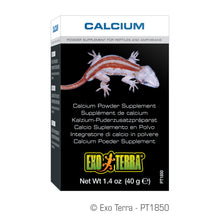 Load image into Gallery viewer, Exo Terra Calcium Powder Supplement