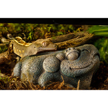 Load image into Gallery viewer, Exo Terra Aztec Frog Water Dish - 40 ml