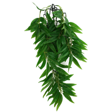 Load image into Gallery viewer, Komodo Climbing Plant Bamboo