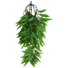 Load image into Gallery viewer, Komodo Climbing Plant Bamboo