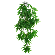 Load image into Gallery viewer, Komodo Climbing Plant Bamboo