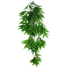 Load image into Gallery viewer, Komodo Climbing Plant Bamboo